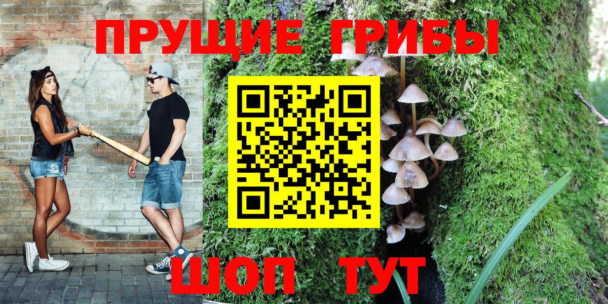 Галлюциногенные грибы прущие грибы  Галлюциногенные грибы Magic Shrooms  Вход с VPN  Нефтекумск 