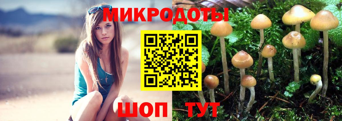 Псилоцибиновые грибы MAGIC MUSHROOMS Нефтекумск